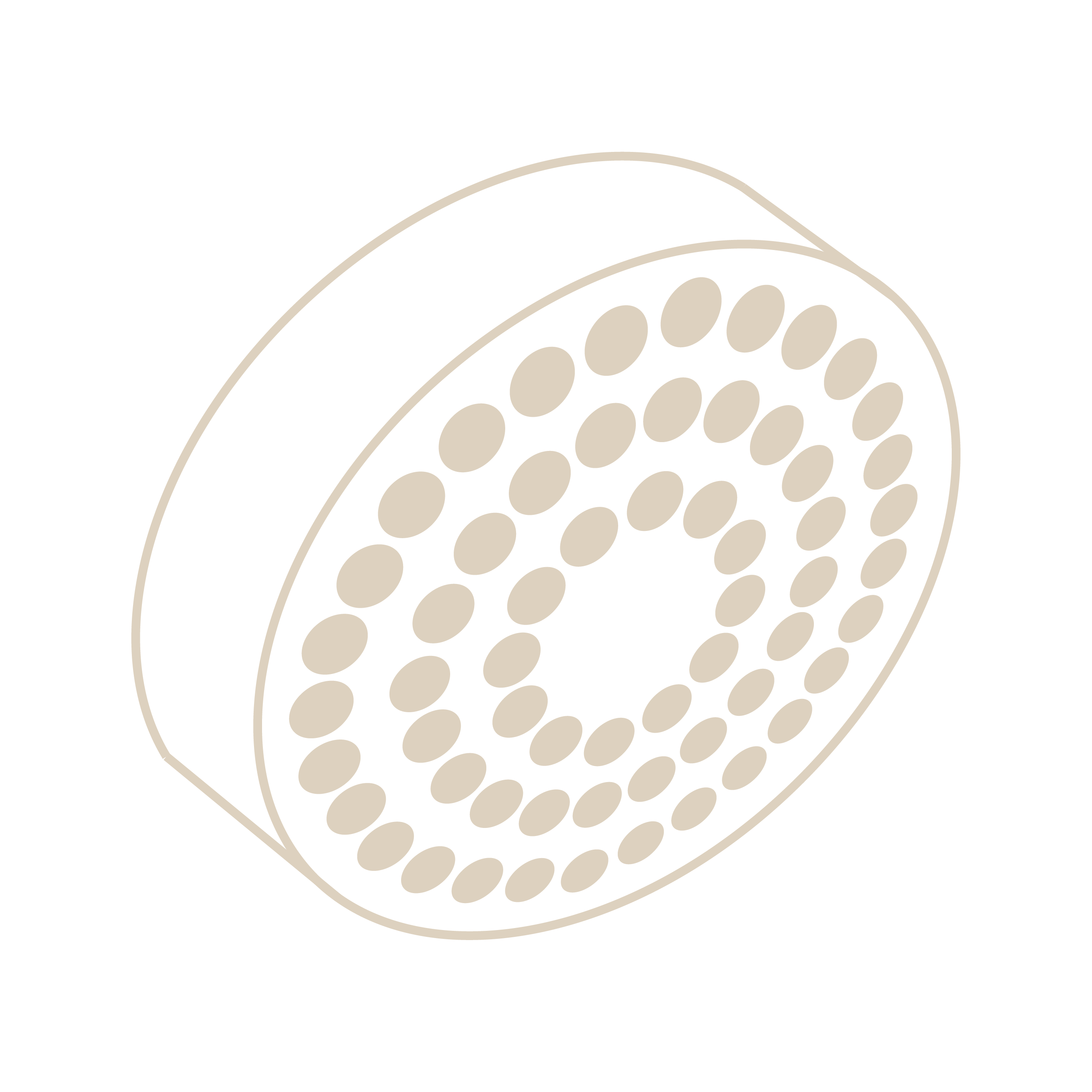 Asian Paints Bath CP fittings faucets